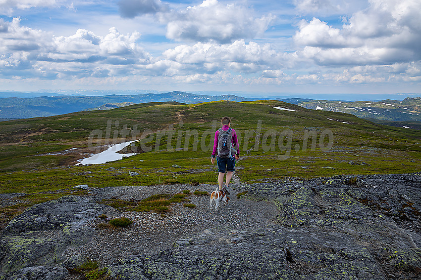 Fjellvandrer på toppen av Rauddalsfjellet.