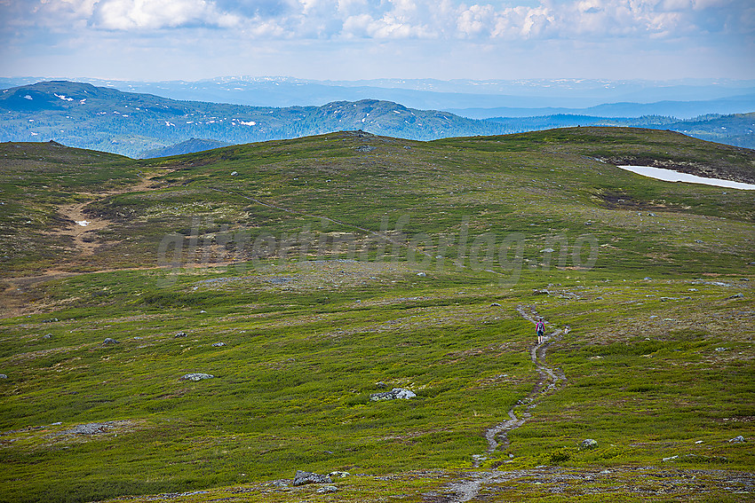 Fjellvandrer på Rauddalsfjellet.