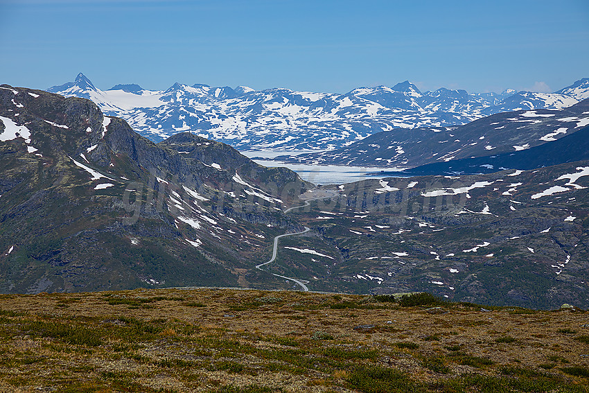 Utsikt fra Børrenøse mot Tyin og Jotunheimen.