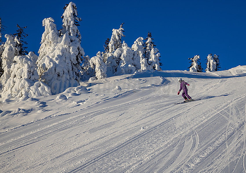 Stavadalen alpinsenter.