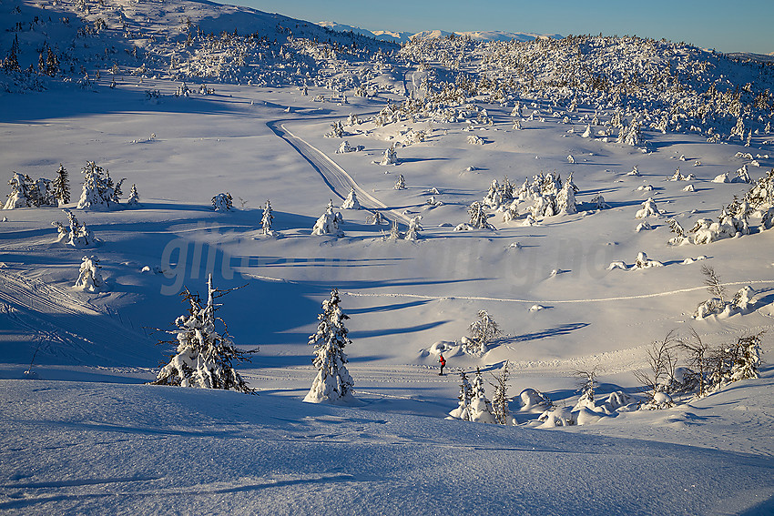 Løypenettet til Makalaus løypelag, like ovenfor Stavadalen alpinsenter.