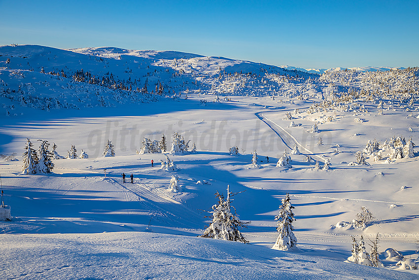 Løypenettet til Makalaus løypelag, like ovenfor Stavadalen alpinsenter.