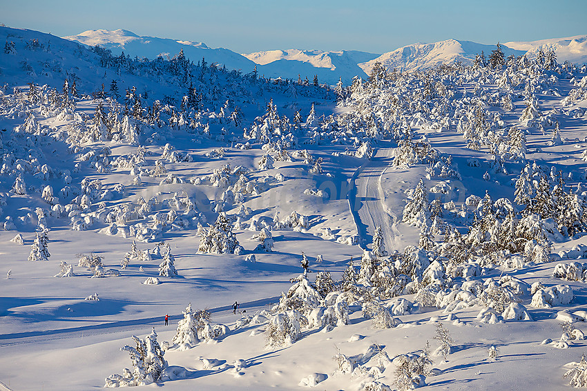 Løypenettet til Makalaus løypelag, like ovenfor Stavadalen alpinsenter.