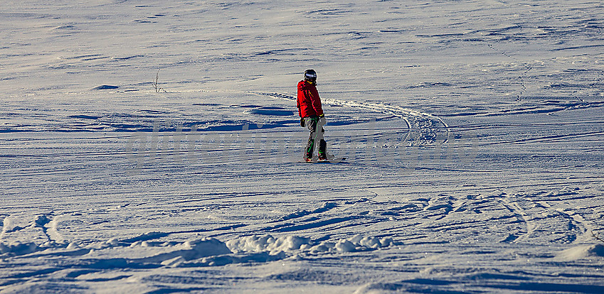 Vaset alpinsenter.