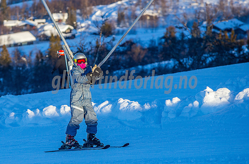 Vaset alpinsenter.