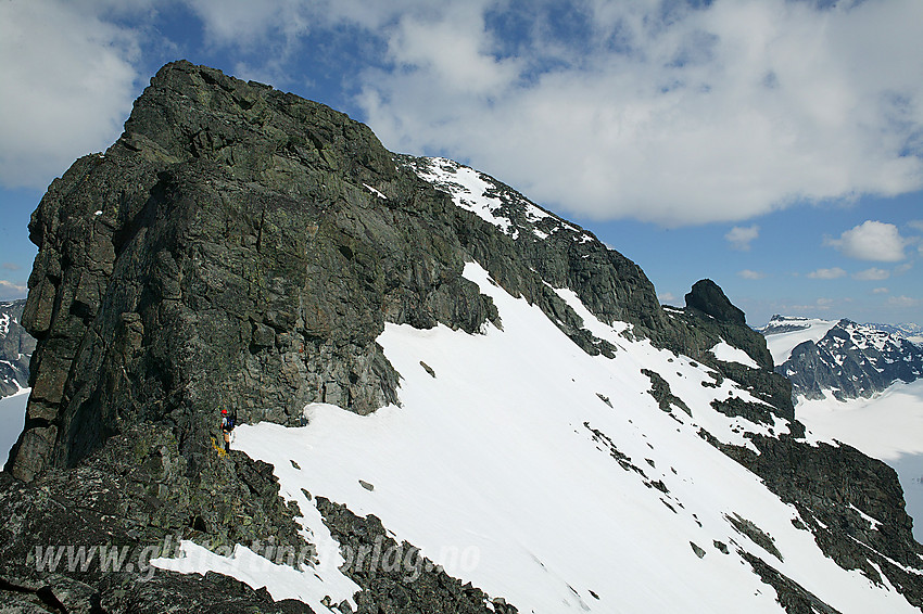 Ved den andre hammeren på Skardstindens vestrygg. Nåle i bakgrunnen til høyre.