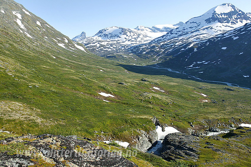 Leirdalen en fin juliettermiddag. I bakgrunnen til høyre Storbreahøe (2001 moh).