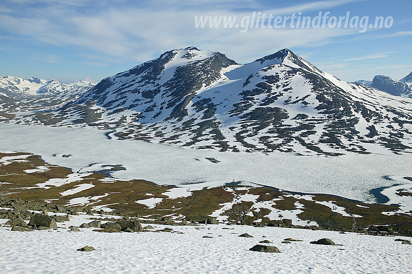 Oppe i lia på nordsiden av Langvatnet med Skarddalseggje (2159 moh) og Skarddalstinden (2100 moh) i bakgrunnen.