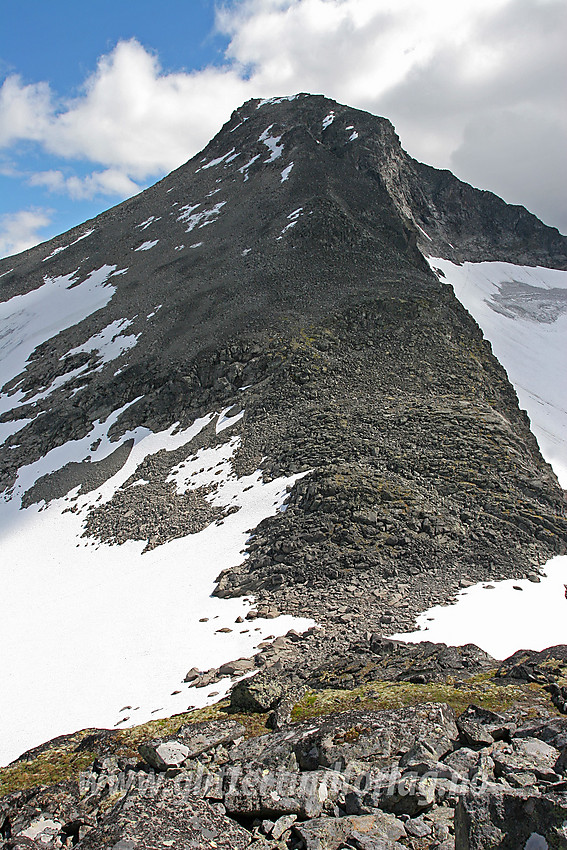 Kvitskardtinden (2193 moh) sett fra nordvest. Kvitskard i forgrunnen.