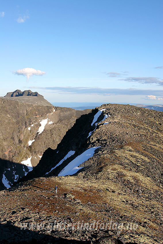 Fra Midtre Langedalstinden mot Søre (2030 moh). I bakgrunnen stikker Torfinnstindane opp.
