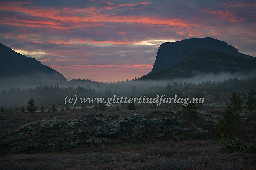 Morgenstemning i Sjodalen like ved riksvei 51 nær Russa.