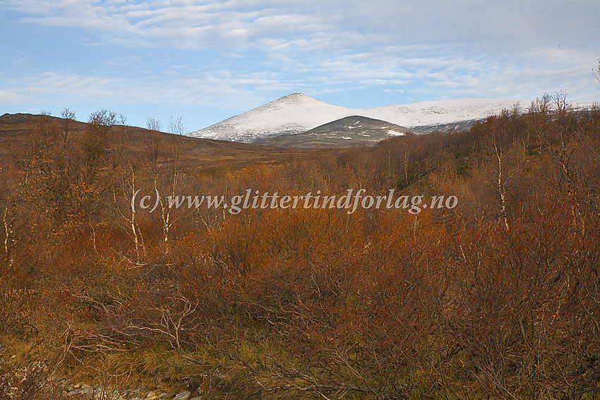 I Russdalen en flott høstdag med en snødekt Nautgardstind (2258 moh) i bakgrunnen.