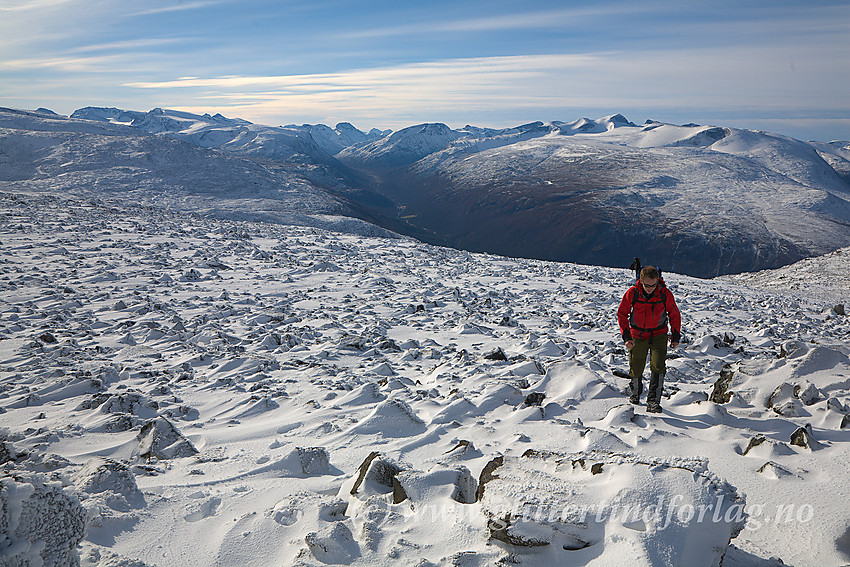 På vei opp mot Lauvhøe fra vest. I bakgrunnen Visdalen omgitt av en rekke av Jotunheimens tinder, med Galdhøpiggen (2469 moh) som den høyeste.