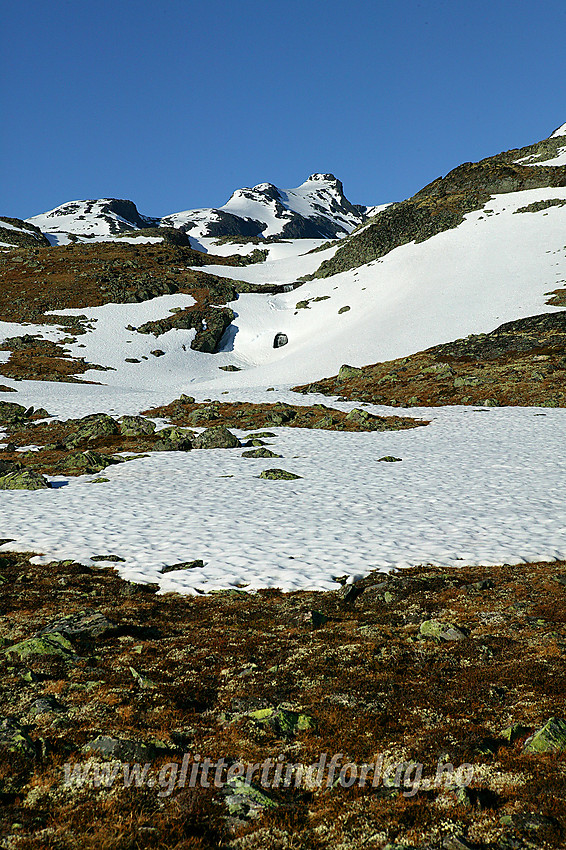 På vei mot Galdebergtinden med utsikt mot Slettmarkkampen (2032 moh) og Slettmarkpiggen (2164 moh) i bakgrunnen.