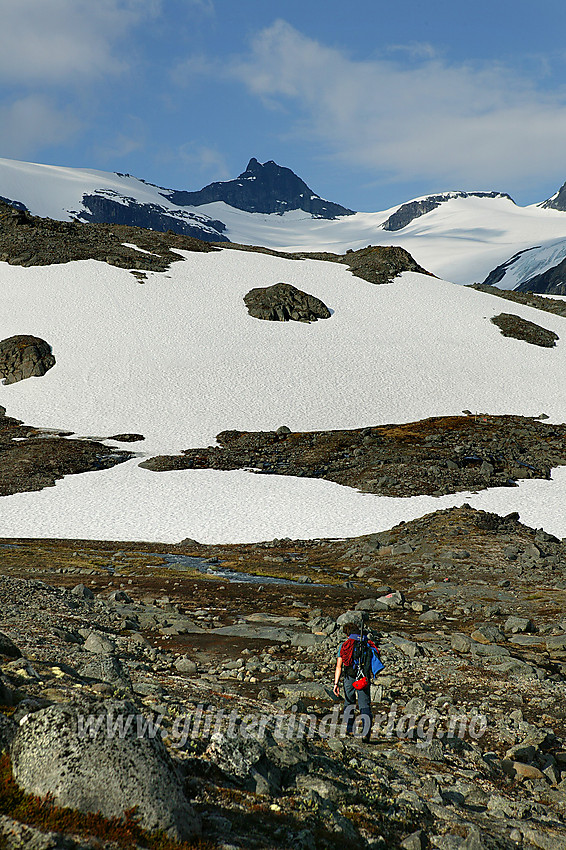 På vei fra Leirdalen inn mot Storbrean. I bakgrunnen ses Sokse (2189 moh) og Sauen (2077 moh).