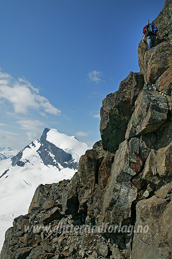 Klyving på hammeren øst for Sokse Ø2. I bakgrunnen Storebjørn (2222 moh).