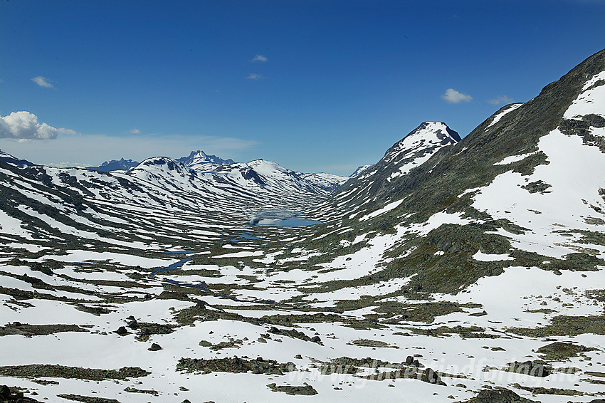 Utsikt nedover Rauddalen. Skogadalsnosi til venstre, Rauddalsvatnet i midten og Store Rauddalstinden (2157 moh) til høyre. I bakgrunnen ses Hurrungane.