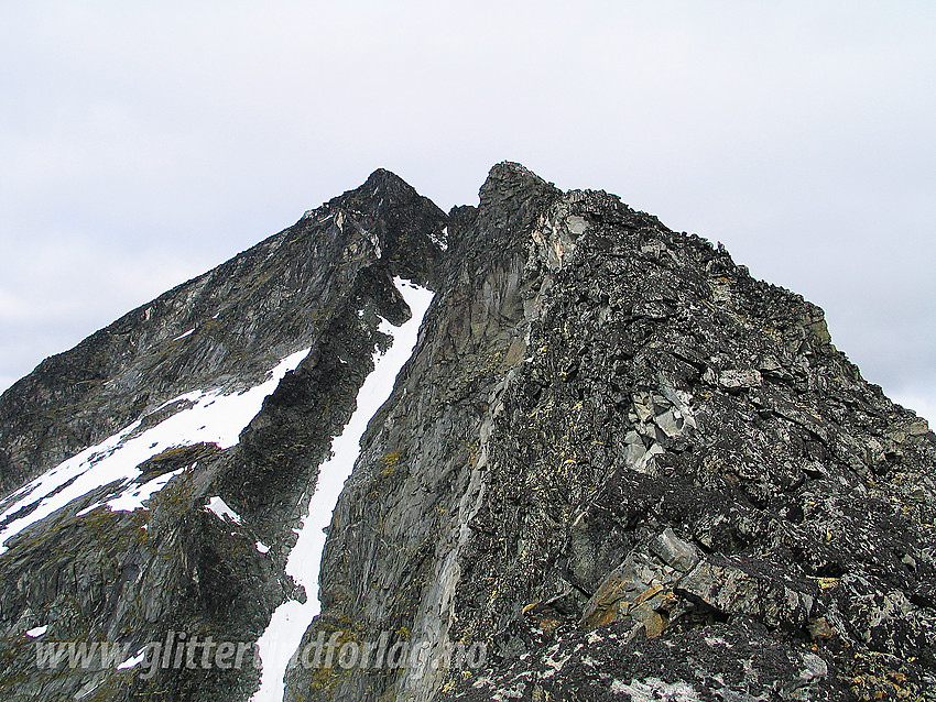 På Styggehøes sørvestrygg med toppen (2213 moh) i bakgrunnen, eller dvs. selve toppunktet ser man ikke fordi det ligger litt tilbaketrukkent inne på flata.