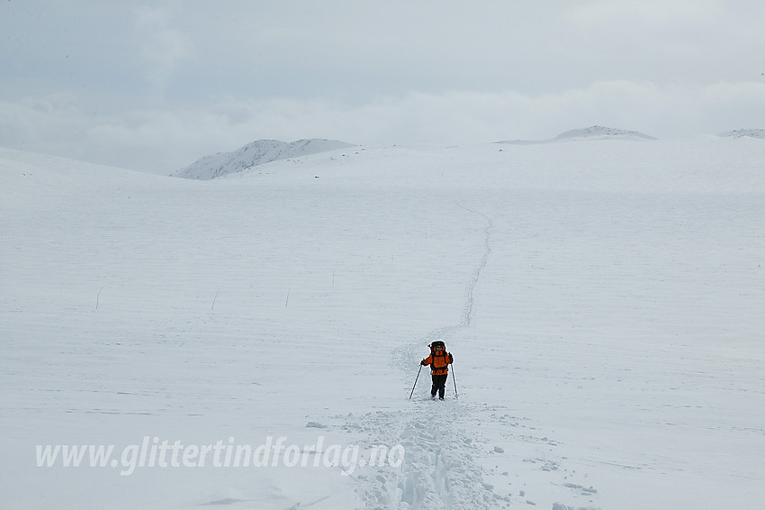 Skiløper på vei nordover Langedalen langs kvisteløypa fra Torfinnsbu til Gjendebu.