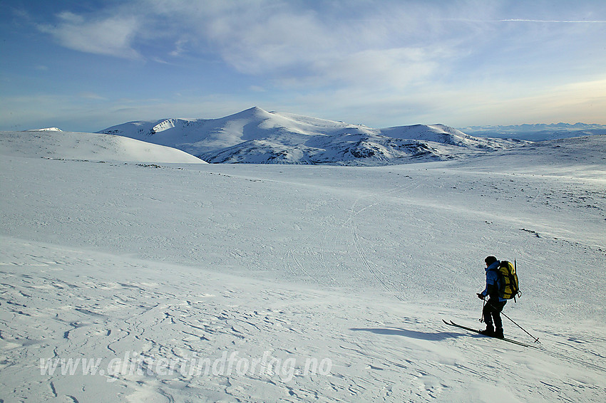 På retur fra Besshøe, på vei over Bessfjellet, med Nautgardstinden (2258 moh) i bakgrunnen.