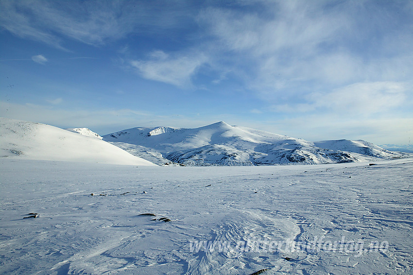 På Bessfjellet nordøst for Besshøe med utsikt mot Nautgardstindmassivet (2258 moh).