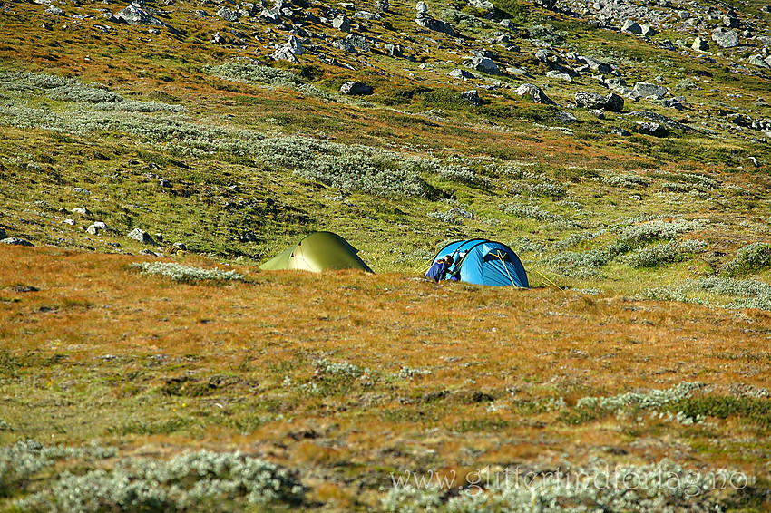 Teltleir i Leirungsdalen.