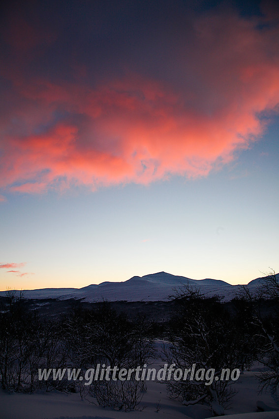 På Hindsæterkampen i Sjodalen med en glødende sky høyt over Sjugurdsjøpiggen som ses i bakgrunnen.