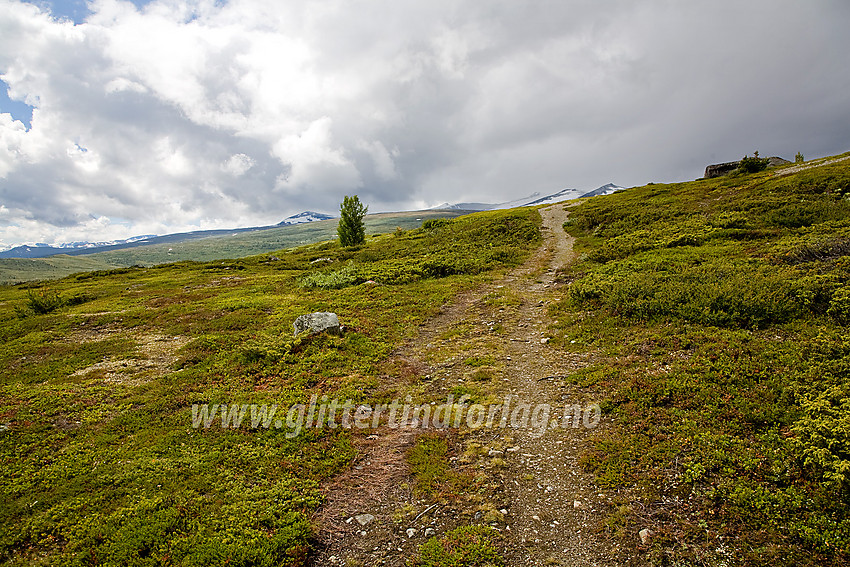 Fra Veolie fortsetter en umerket sti videre innover Veodalen langs nordsiden av Veo. Stornubben gjemmer seg i skyene i bakgrunnen til høyre.