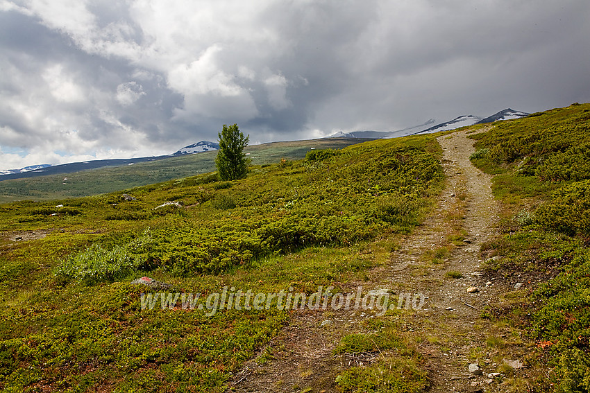 Fra Veolie fortsetter en umerket sti videre innover Veodalen langs nordsiden av Veo. Stornubben gjemmer seg i skyene i bakgrunnen til høyre.