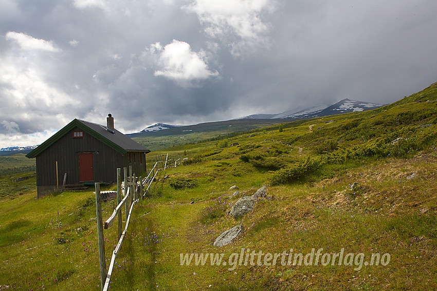 Veolie ligger idyllisk til ovenfor Sjodalen, ved inngangen til Veodalen. Stornubben er gjemt i skyene bak til høyre.