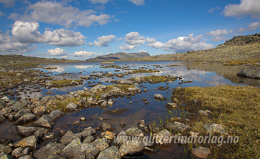 Ikke langt fra ruta mellom Juvasshytta og Raubergstulen ved noen småvann. 