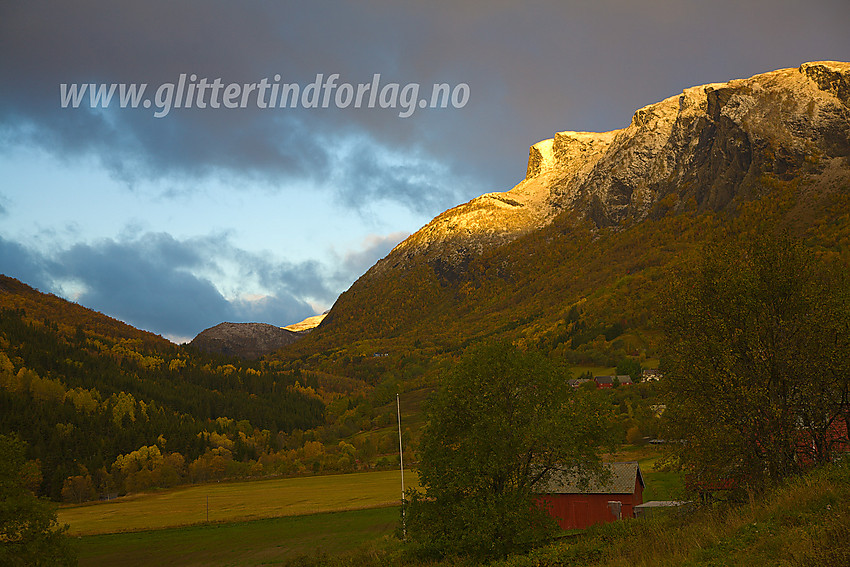 Gyllen høstskog i Vang i Valdres, med morgensola på Munkeskøregge.