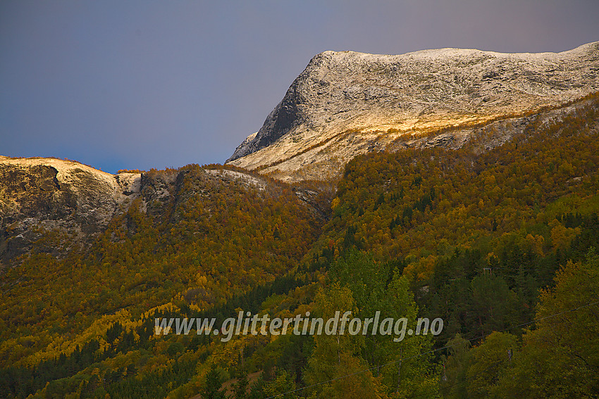 Gyllen høstskog i Vang i Valdres, med morgensola på fjellene rundt Horndalen.