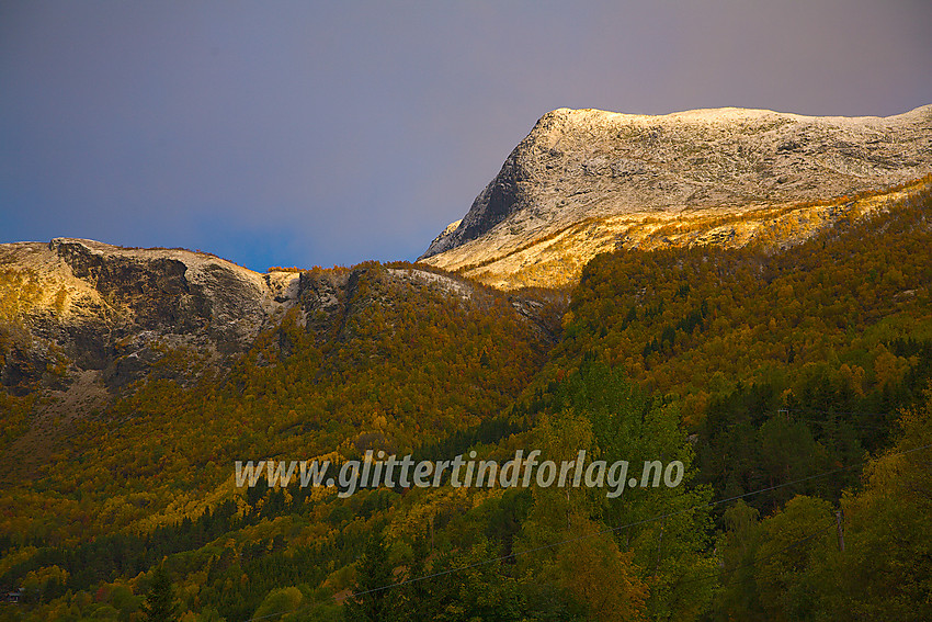 Gyllen høstskog i Vang i Valdres, med morgensola på fjellene rundt Horndalen.