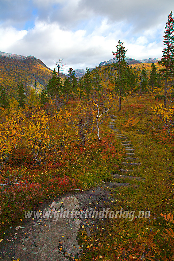 Stien fra Vetti Gard mot Ingjerdbu via toppen av Vettisfossen.