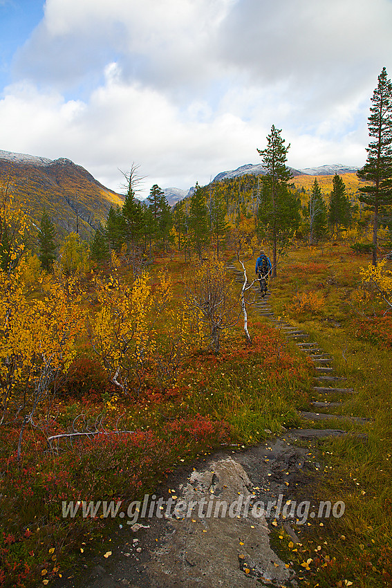 Langs stien fra Vetti Gard mot Ingjerdbu via toppen av Vettisfossen.