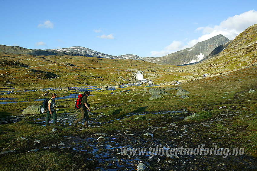 Fjellvandring i nærheten av Krossbu. I bakgrunnen elva Leira, Veslbreatinden (2092 moh), Storbreatinden (2018 moh) og Store Smørstabbtinden (2208 moh).