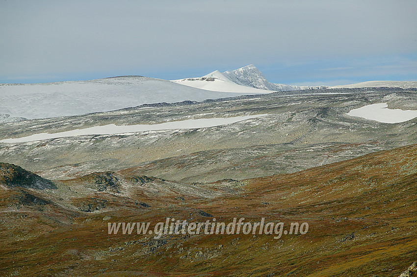 Fra Veodalen med telelinsa mot Gråsubrean og Glittertinden (2464 moh.). 