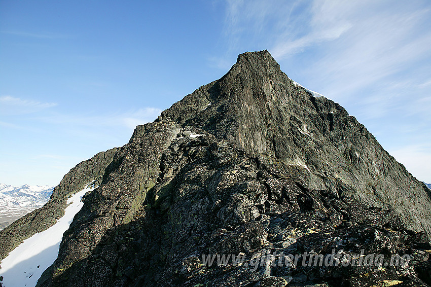 Store Knutsholstinden (2341 moh) med sørryggen i forgrunnen.