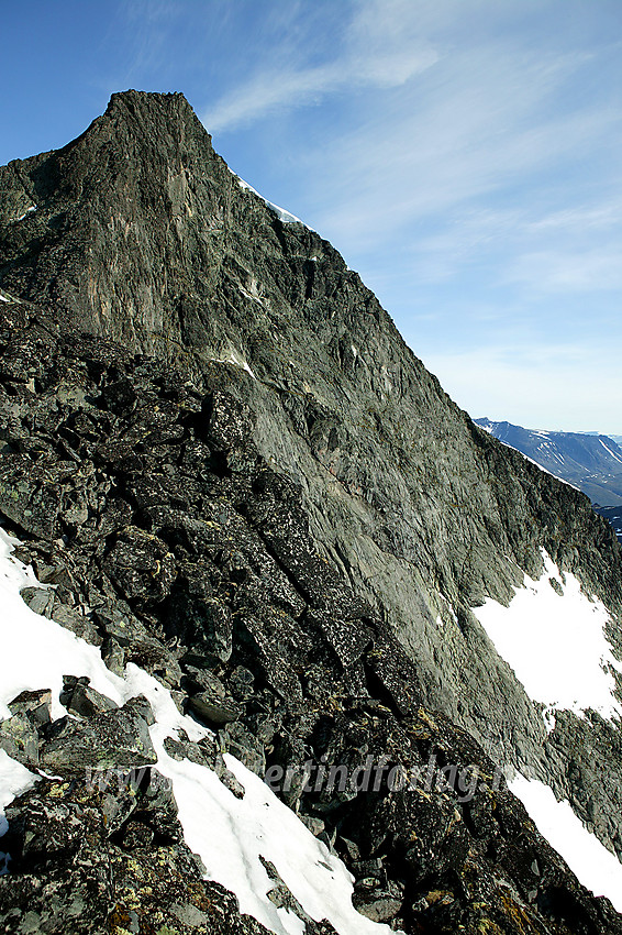 Store Knutsholstinden (2341 moh) med deler av sørryggen i forgrunnen.