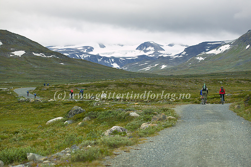 Grusveien fra nasjonalparkgrensa i Veodalen inn mot Glitterheim er sperret for motorisert trafikk, noe som gjør at syklen er det ideale fremkomstmiddelet. I bakgrunnen ligger Styggehøbrean med Nørdre Styggehøbreatinden, mens resten av Styggehøbrea- og Veotindane gjemmer seg i tåka.