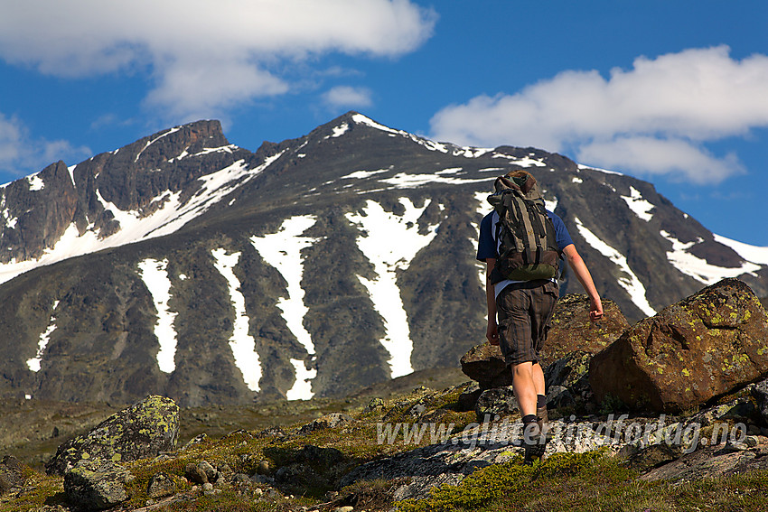 På vei mot Gloptinden fra Memurubu. I bakgrunnen Sørtoppen (2302 moh) og Midttoppen (2251 moh) på Surtningssue.