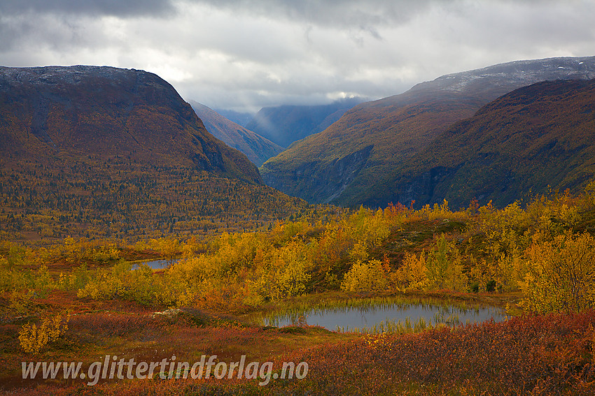 Fra Fleskenoshaugane med utsikt nedover Utladalen.