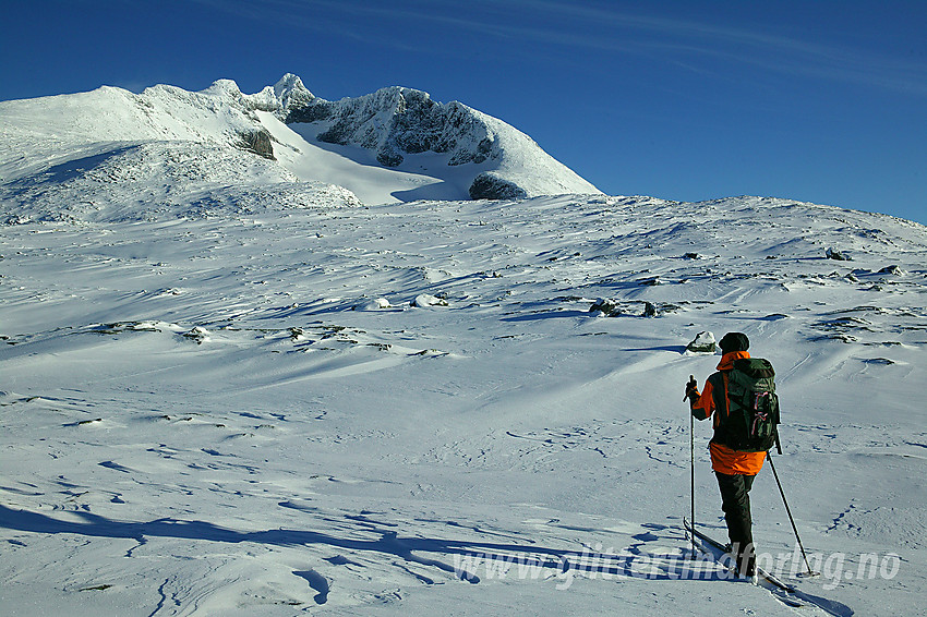 Austanbotntindmassivet fra sørvest med Store (2204 moh) i midten.