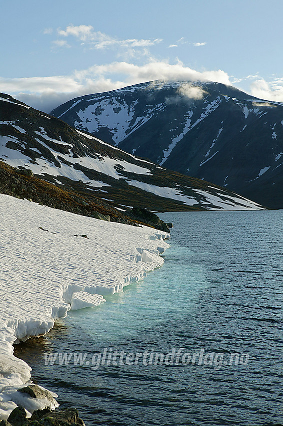 Ved Bessvatnet med Besshøe (2258 moh) i bakgrunnen.