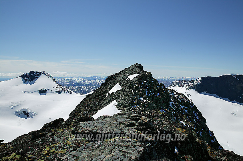 Store Svartdalspiggen (2174 moh) sett fra nord. Her på ryggen før den siste stigningen mot toppen tar man seg normalt ned til høyre om man vil videre sørover mot de andre Svartdalspiggane. Bak til venstre ses Svartdalsbrean og Langedalstinden (2206 moh).