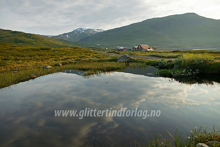 En liten myr rett ved Eidsbugarden. 