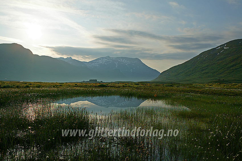 Et lite myr rett ved Eidsbugarden. Galdebergtinden (2075 moh), reiser seg i bakgrunnen, speiler seg i en liten vannpytt. 