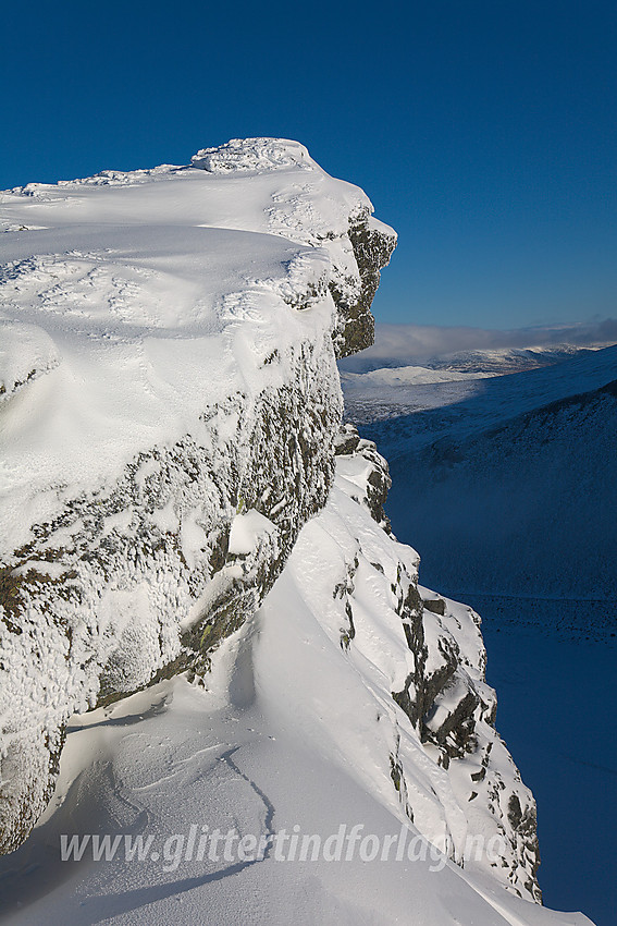 Detaljer fra ryggen like sør for Søre Dumhøe (2174 moh).